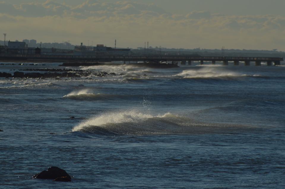 Dimmi che vento spira e saprai che mare avrai